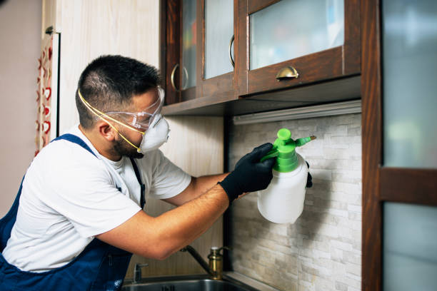 Best Pest Inspection Near Me  in Burnet, TX