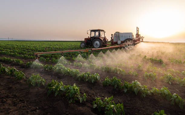Best Commercial Pest Control Services  in Burnet, TX