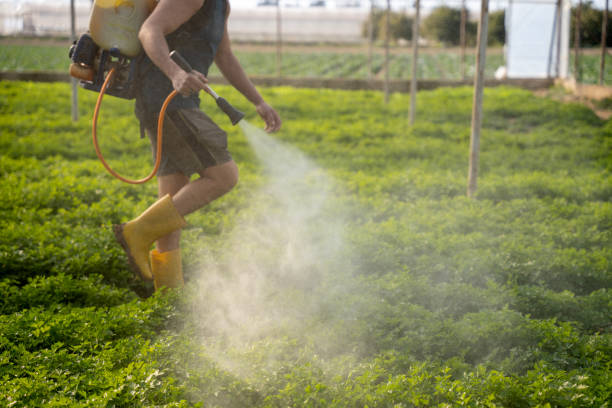 Best Ant Control Services  in Burnet, TX