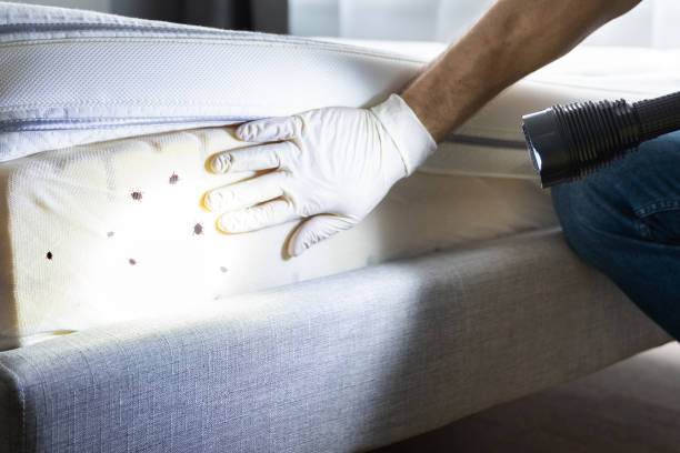 Best Affordable Pest Control Services  in Burnet, TX