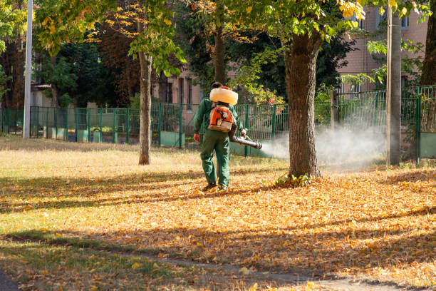Best Termite Control Services  in Burnet, TX