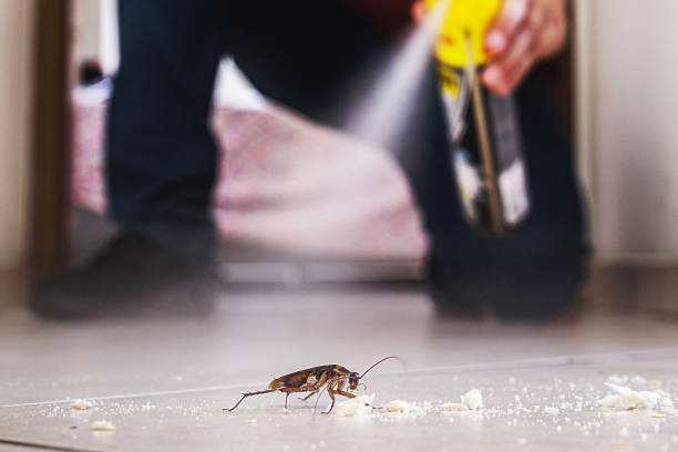 Best Best Pest Control Companies  in Burnet, TX