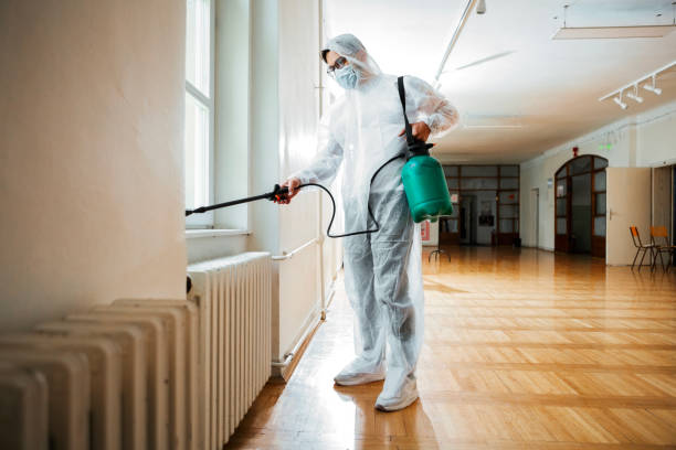 Best Wasp Removal Services  in Burnet, TX