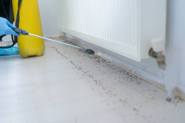 Best Best Pest Control Companies  in Burnet, TX