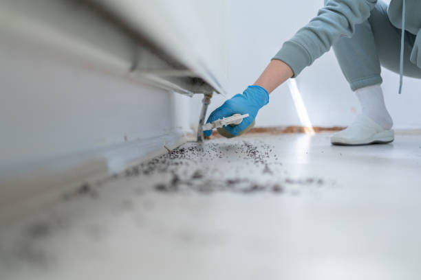  Burnet, TX Pest Control Pros