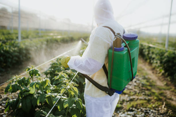 Best Rat Extermination Near Me  in Burnet, TX